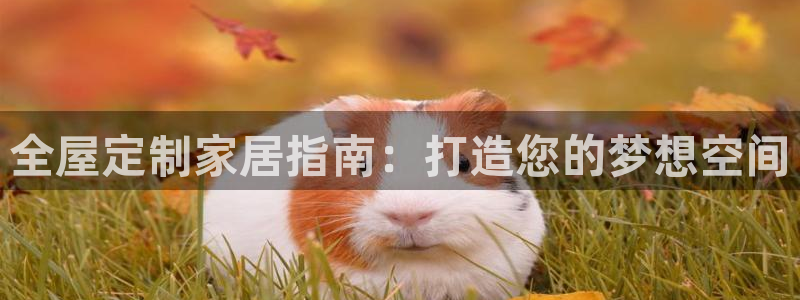 bb电子哪个平台好