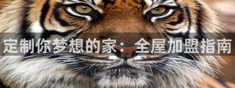 bb电子哪个平台好啊