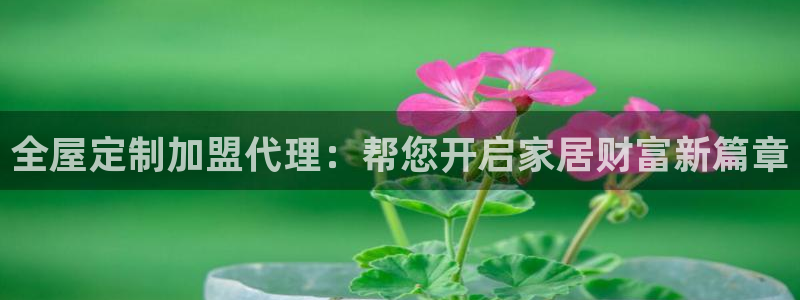 bb电子哪个平台好用点