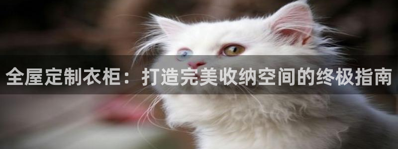 bb电子mini彩金