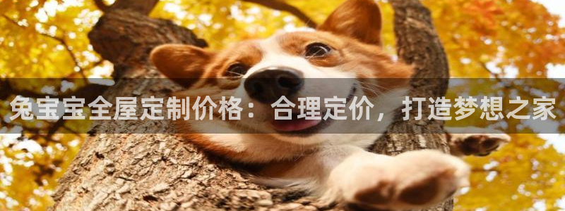网上bb电子为什么那么假