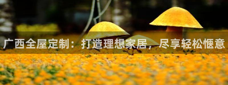 bb电子哪个平台好用