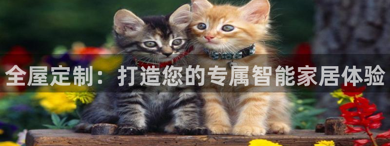 bb电子糖果彩球