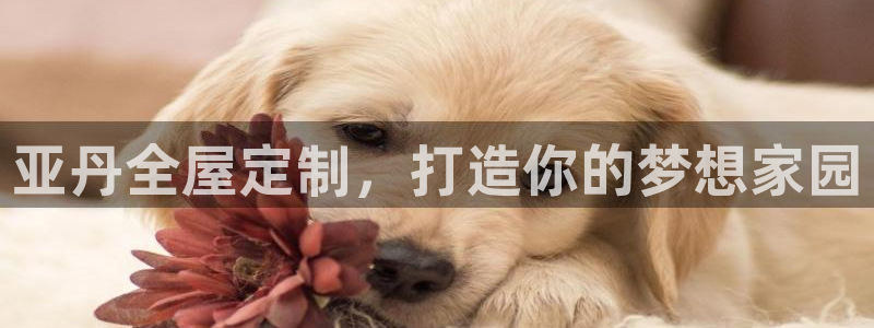 bb电子掉彩金