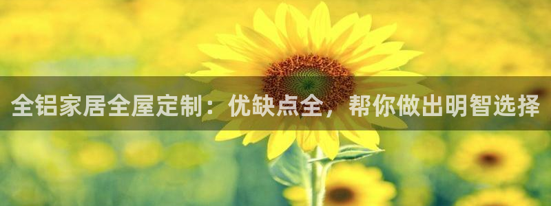 bb电子怎么英语怎么说