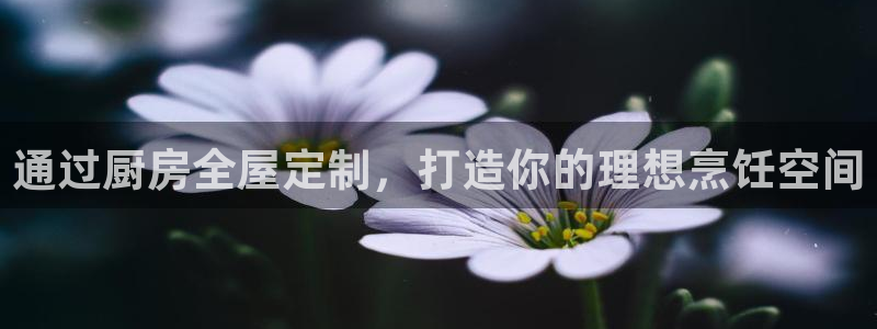 bB电子琴和弦