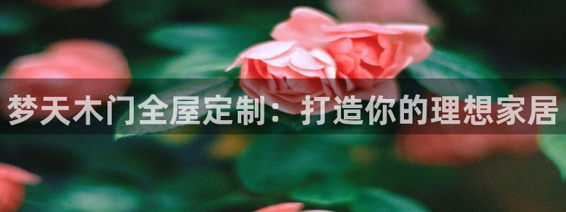 xbb电子游艺