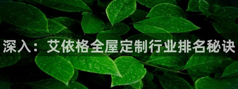 bb电子官网