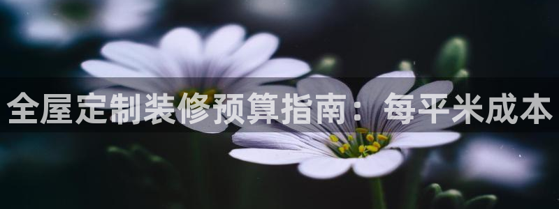 网上bb电子为什么那么假