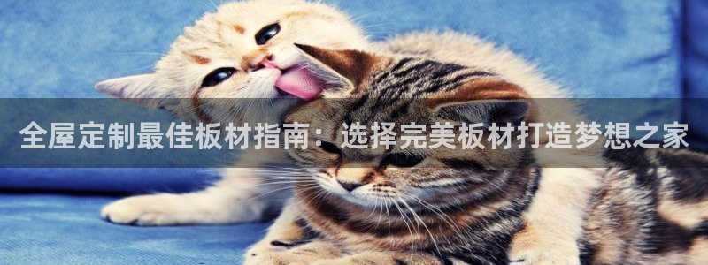 网上bb电子为什么那么假的