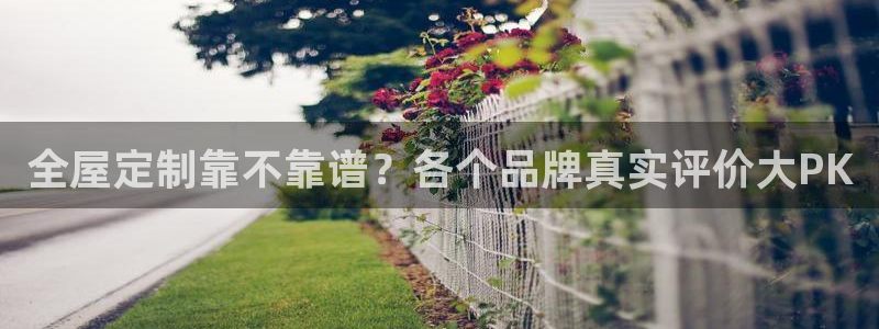 bb电子哪个平台好啊