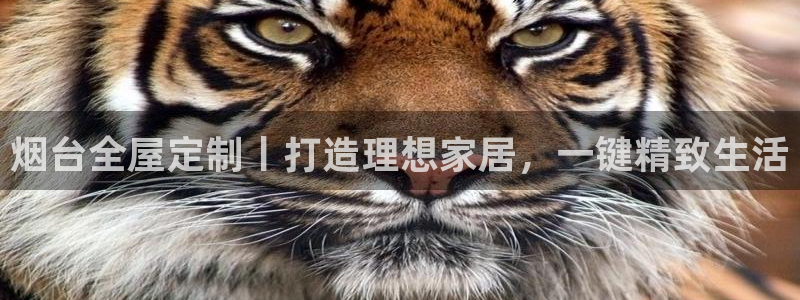 BB电子开户