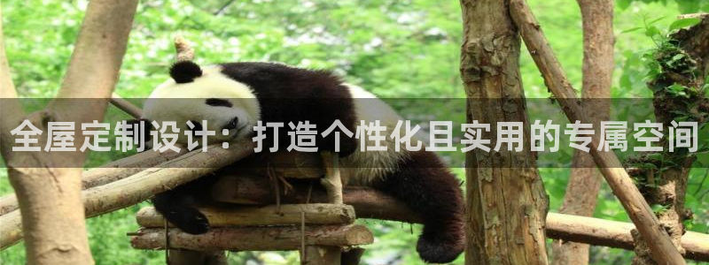 bb电子教育平台