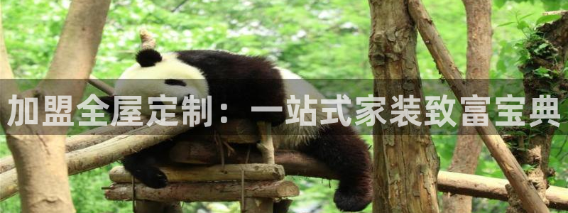 bb电子超级奖池彩金多少钱