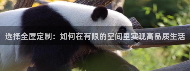 bb电子哪个平台好用点