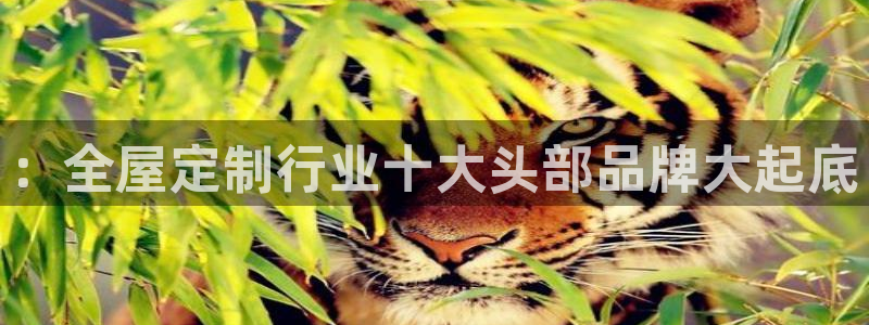 bb电子哪个平台好出款啊