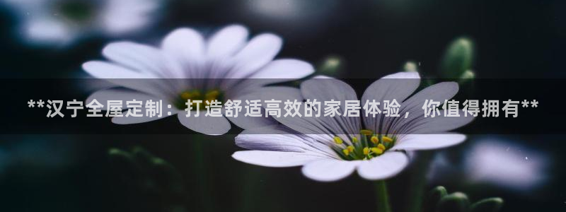Bb电子琴和弦是哪个