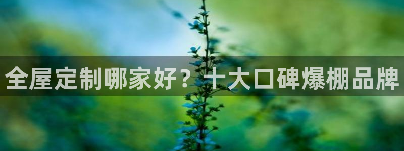 bb电子哪个平台好用点