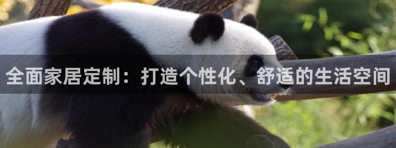 bb电子怎么赢
