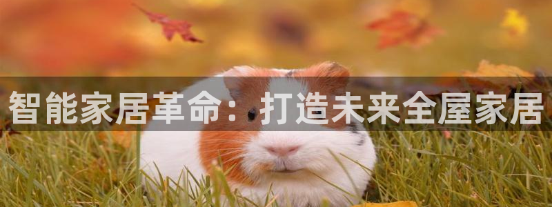 bb电子官网