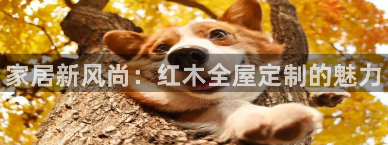 bb电子哪个游戏好赢钱啊