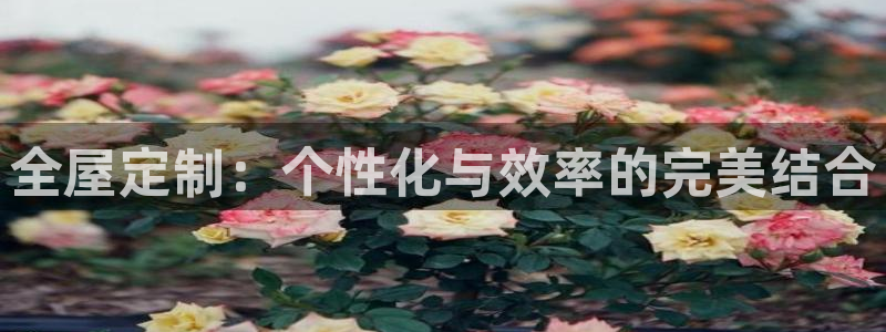 Bb电子琴和弦是哪个