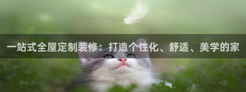 网上bb电子为什么那么假