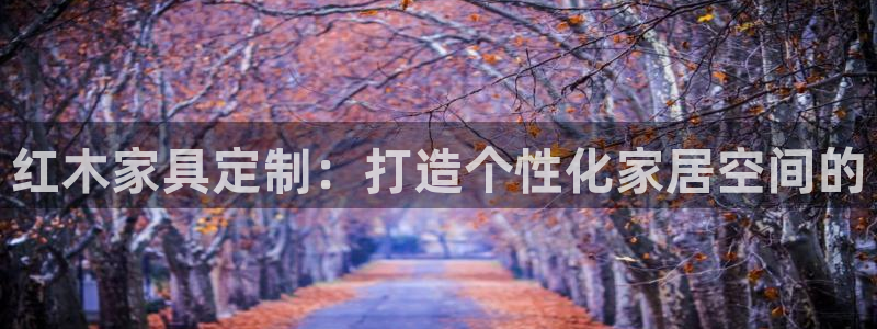 bB电子琴和弦