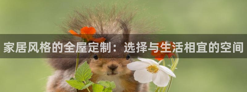 bb电子哪个平台好一点