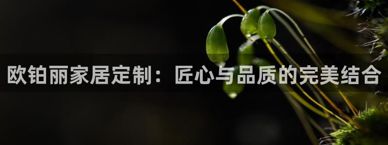 bb电子糖果哪个网站好mg官方电子平台