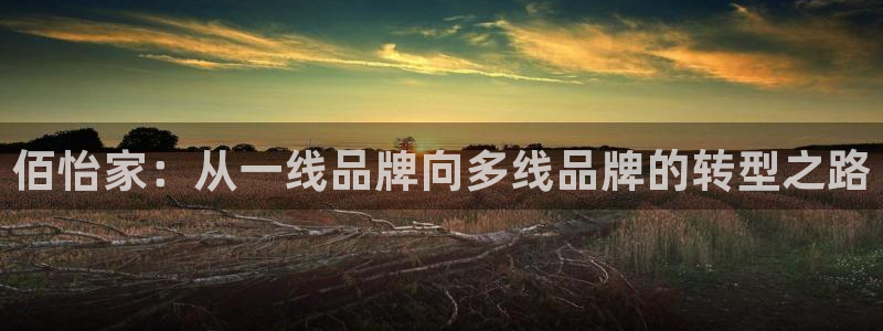 bb电子哪个平台好些