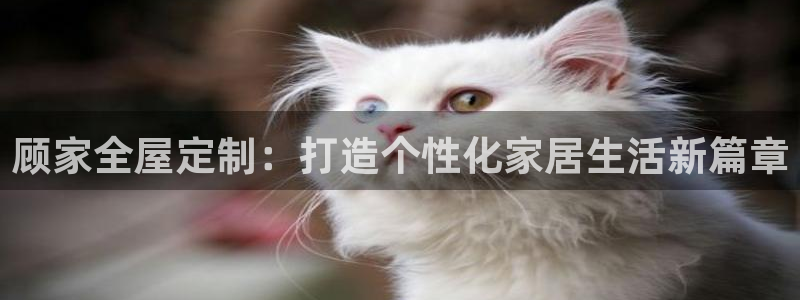 bb电子哪个平台好用点