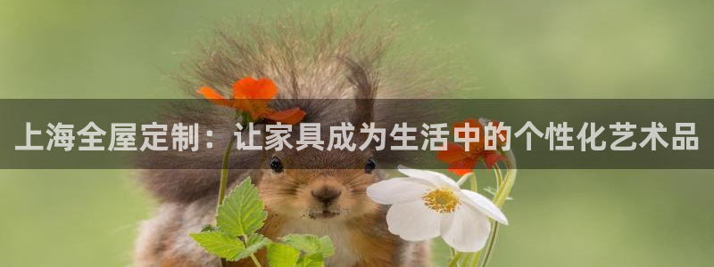 bb电子哪个平台好些