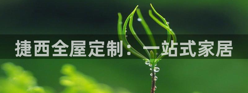 bb电子哪个平台好用