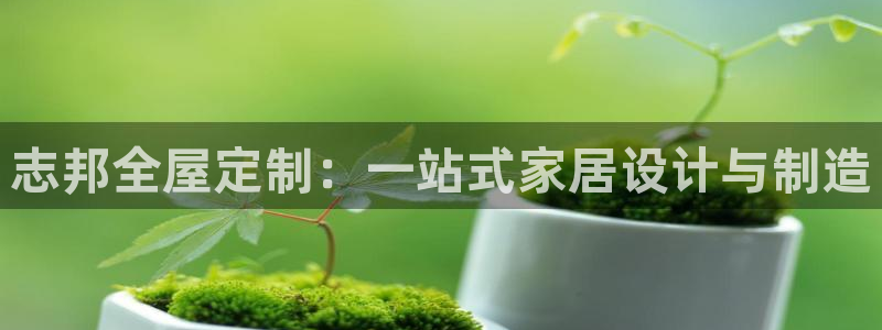 bb电子哪个平台好些