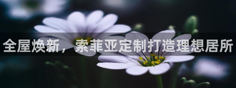 bb电子哪个平台好一点