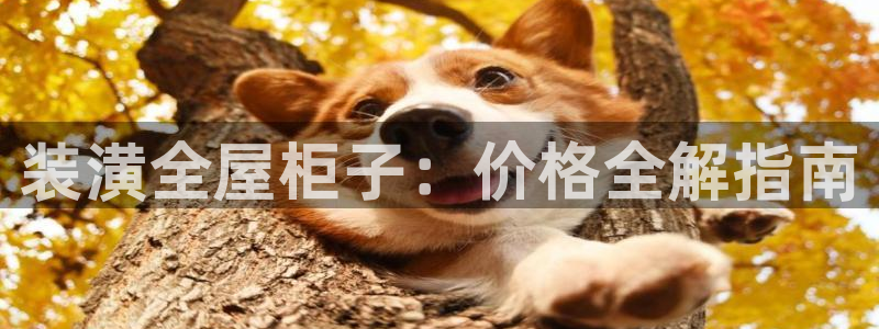 bb电子什么游戏好赢一点