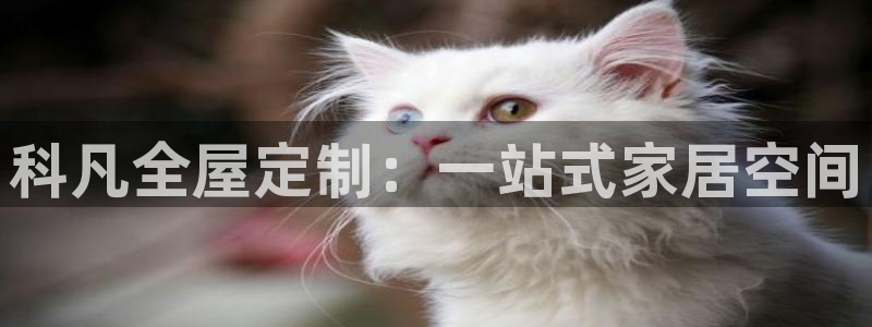 bb电子哪个平台好用