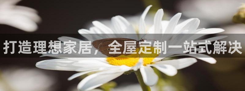 BB电子烟官网