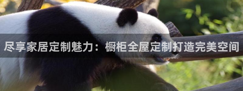 BB电子什么时候容易爆大奖