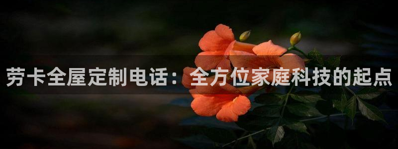 网上bb电子为什么那么假