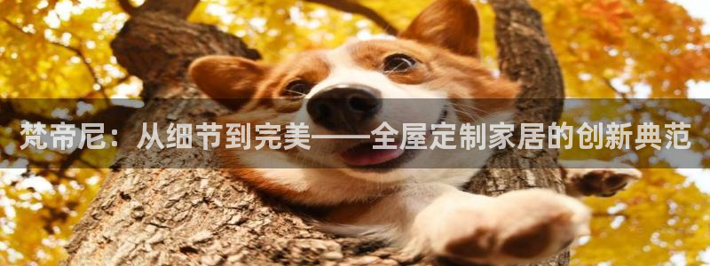 bb电子中了Major怎么算