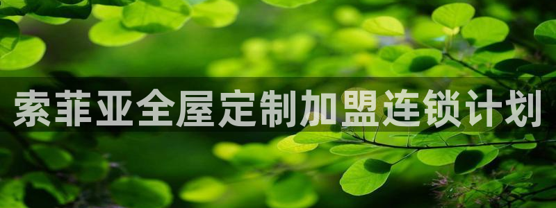 bb电子哪个平台好