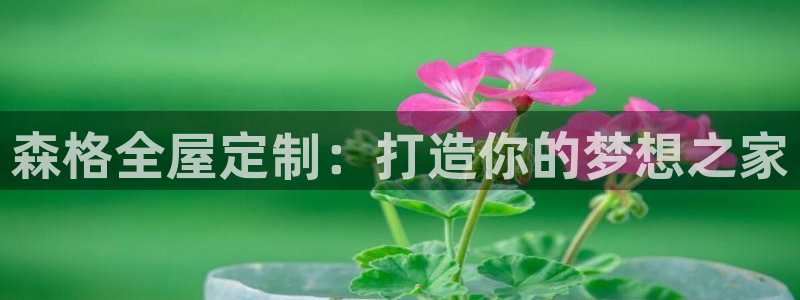 bb电子哪个平台好