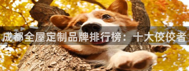 BB电子怪物派对