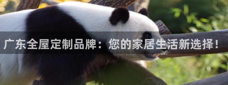 bb电子哪个平台好啊