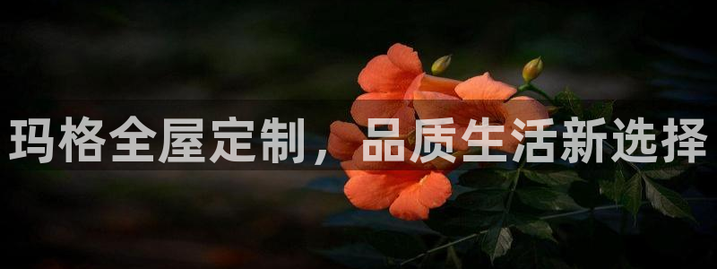 bb电子糖果彩球