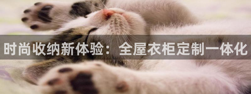 bb电子哪个平台好用点