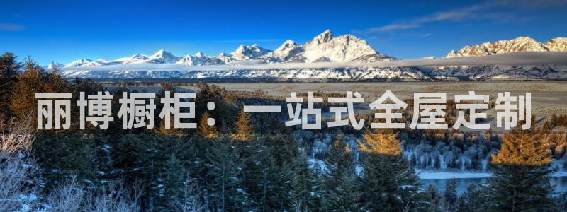 bb电子哪个平台好用