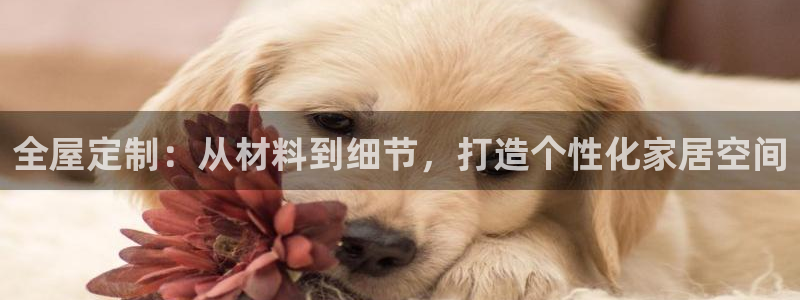 bb电子游戏娱乐平台